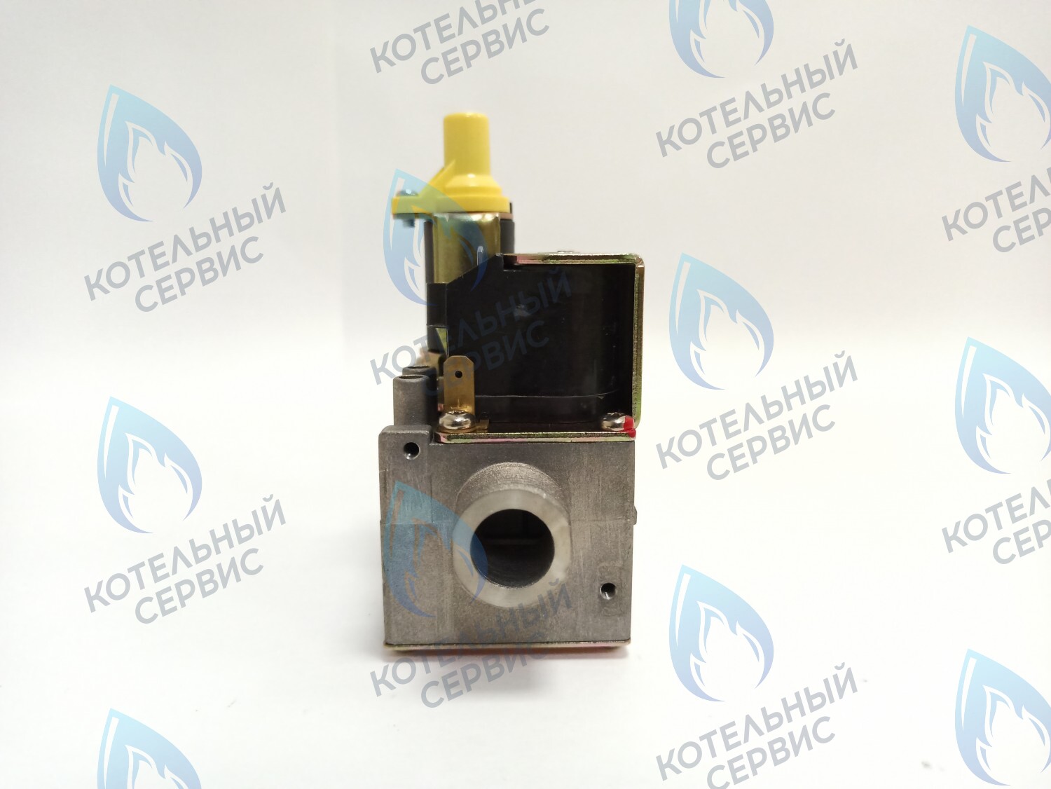 AA10021032 Газовый клапан Electrolux (AA10021032) в Екатеринбурге	