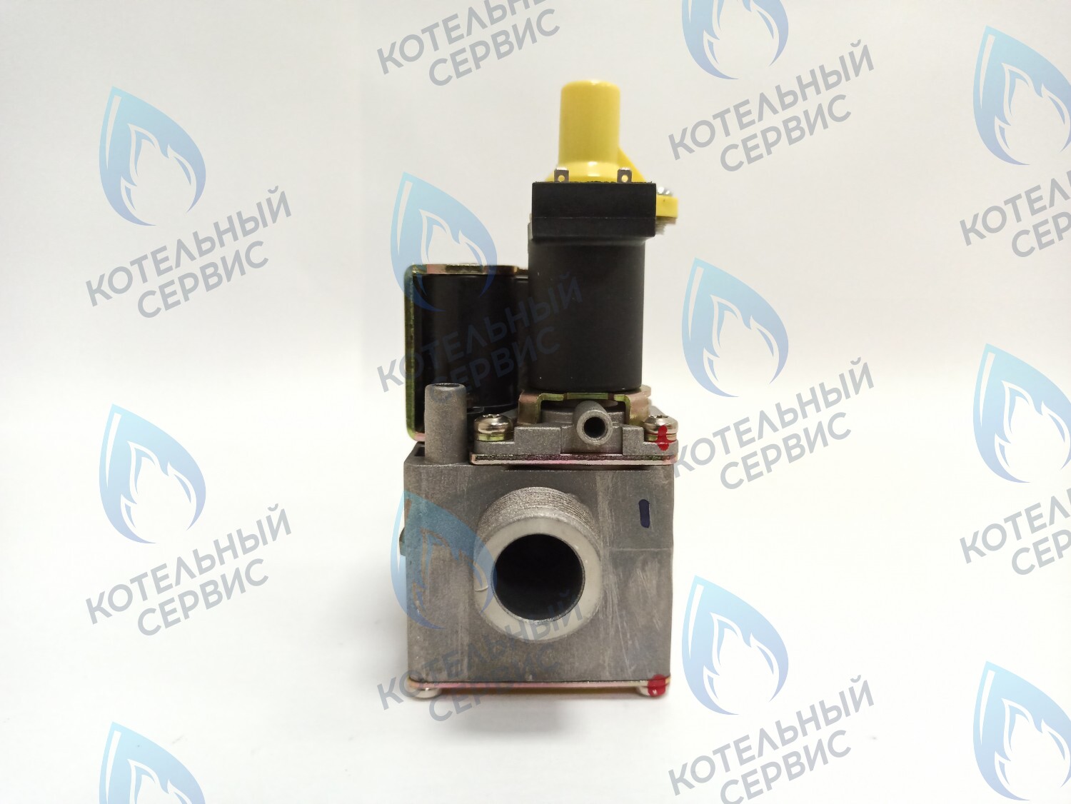 AA10021032 Газовый клапан Electrolux (AA10021032) в Екатеринбурге	