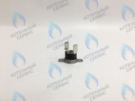 Термостат дымохода 75º/65º (48002466)