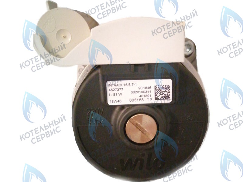 0020186161 Двигатель насоса Protherm Lynx Condens 18/25 MKV -A (H-RU) (81W) (без улитки) (против часовой, втулка 40мм, колесо 68/21мм) в Екатеринбурге	