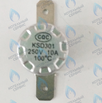 46360830 Термостат 100°С (silver) FERROLI в Екатеринбурге	