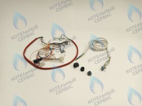 Комплект проводов платы управления FERROLI