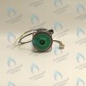 PH-W21CCW60-DA90PR-5PIN Двигатель насоса Duca APW-R 15-6.2A (против часовой стрелки) PROTHERM Пантера H-RU (0020197549, 0020209790) (замена WILO INTVACL 15/6.7-2) ПАНТЕРА 35 KTV H-RU (0020186162) (замена VACL 15/7) в Екатеринбурге	