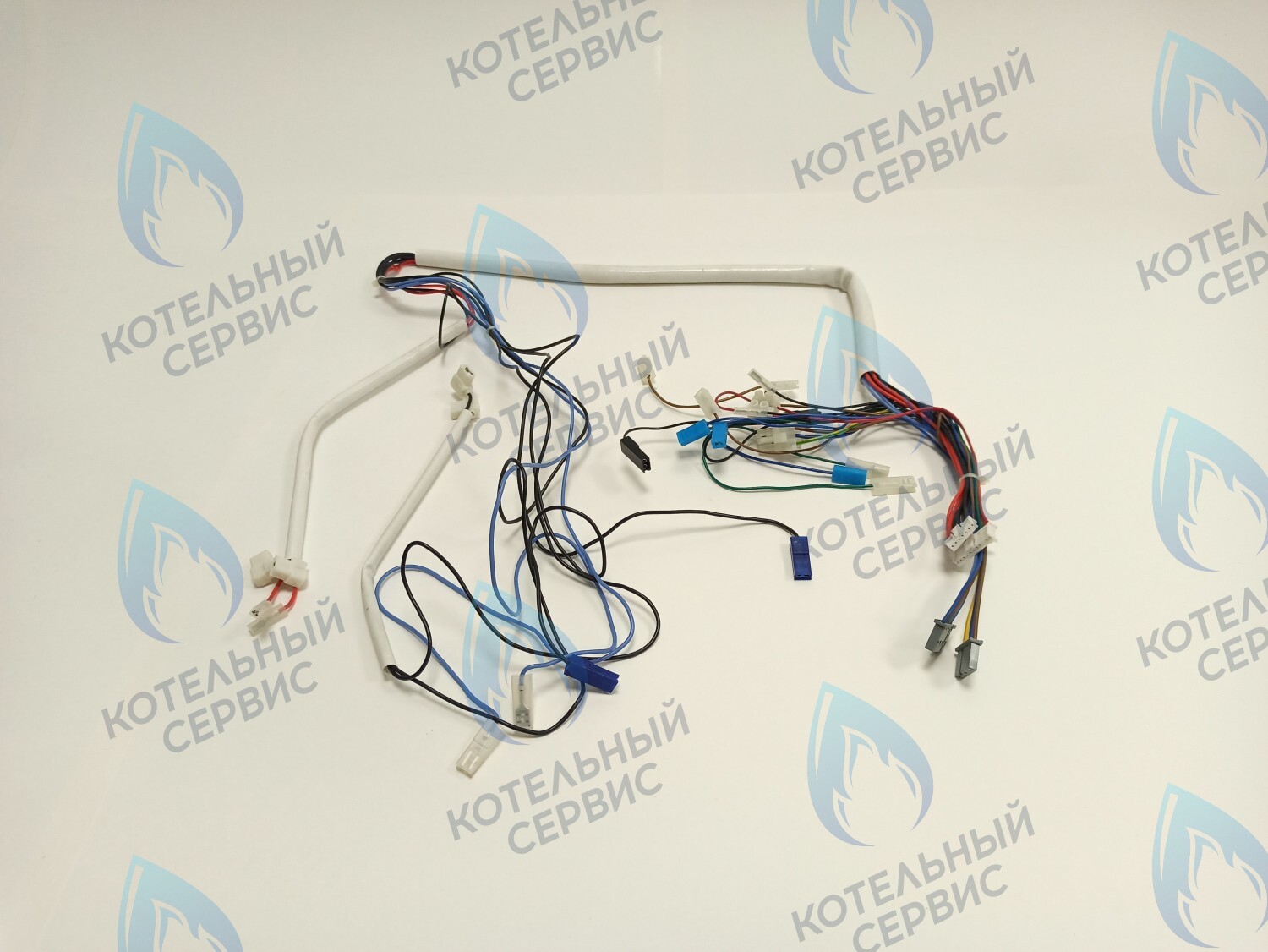 398065810 Комплект проводов Ferroli (RU) Domina F 13-20 Pro (398065810) в Екатеринбурге	