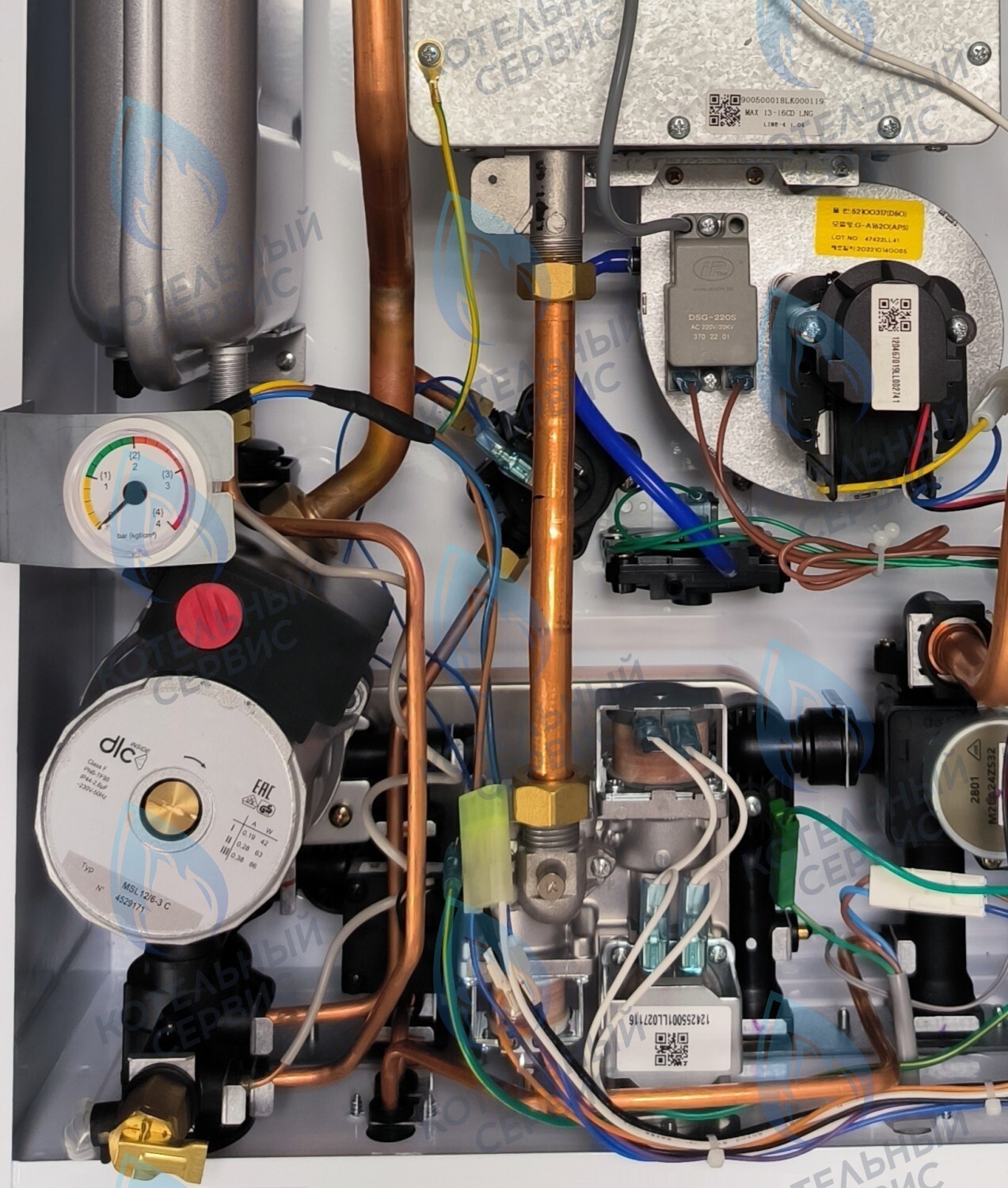 PMDS1AW60-WC86DS-Комп Насос циркуляционный 6м для DAESUNG A16-24 MAX (52050118, 52050130), ARDERIA 2.13-20, CELTIC-DS 3.13-3.20 (2050118, 2050130) (не подходит для MASTER GAS SEOUL и DAESUNG A 2019, где насос посередине) в Екатеринбурге	