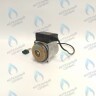 PH-G30CCW70-GR100-5PIN Двигатель насоса (против часовой) VAILLANT TURBOTEC PLUS 32-36 КВТ (0020025042) в Екатеринбурге	