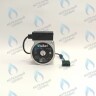 PH-G30CCW70-GR100-5PIN Двигатель насоса (против часовой) VAILLANT TURBOTEC PLUS 32-36 КВТ (0020025042) в Екатеринбурге	