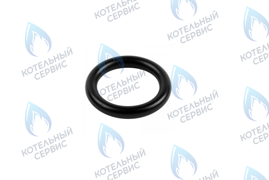 0020034114 Прокладка 14x9,5x2,5 PROTHERM в Екатеринбурге	