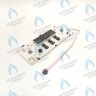 17227600001161 Плата дисплея KENTATSU Nobby Balance Plus (17227600000364) в Екатеринбурге	