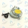 BI1596 102 Прессостат (BI1596 102) BIASI в Екатеринбурге	