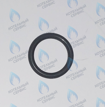 45560250 Кольцо уплотнительное FERROLI в Екатеринбурге	