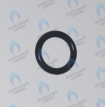 45560540 Кольцо уплотнительное FERROLI в Екатеринбурге	