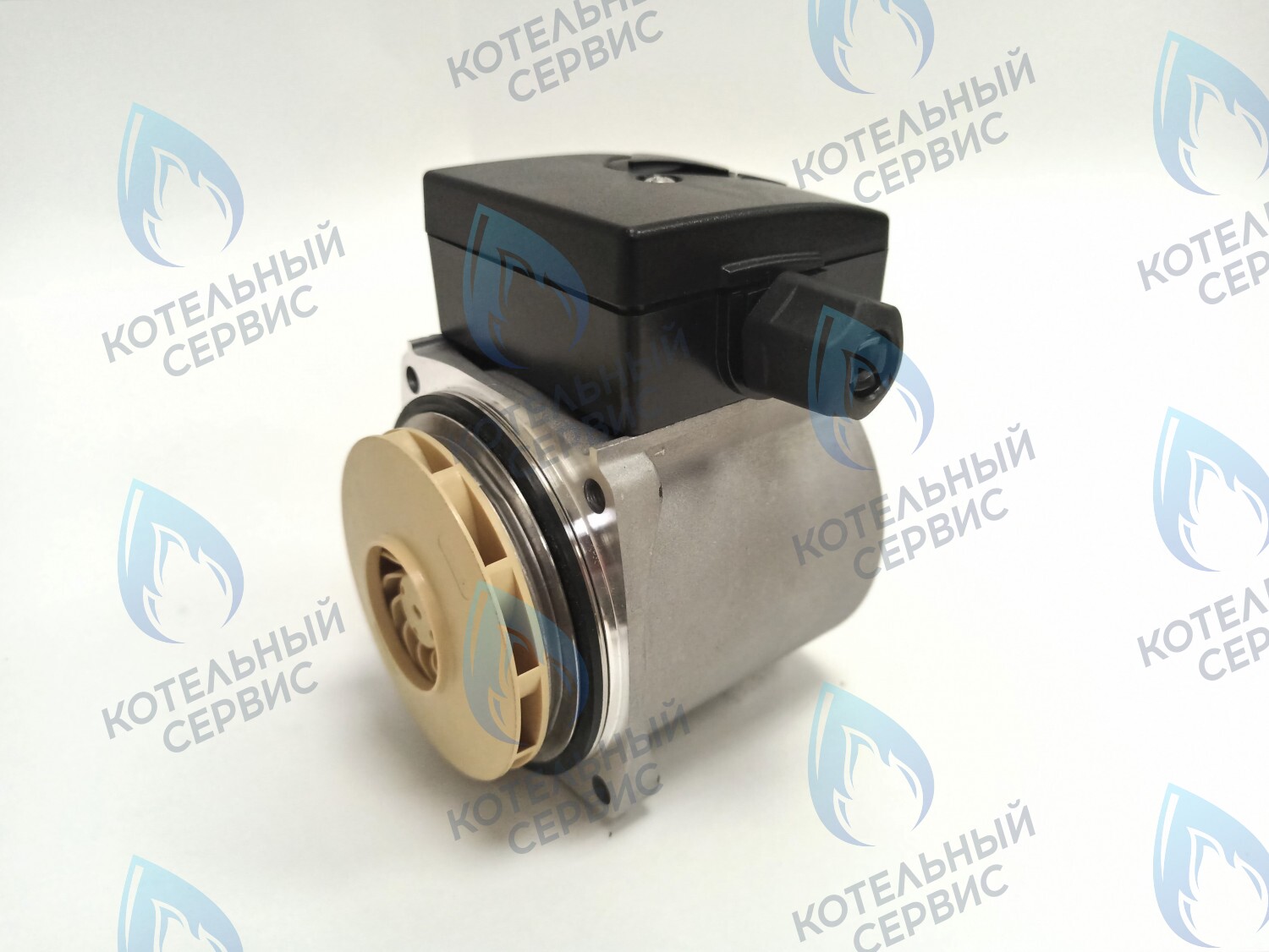 PH-P30CCW50-GB75 Двигатель насоса (против часовой) DD15-50 для Protherm (0020207146, 0020119604) в Екатеринбурге	