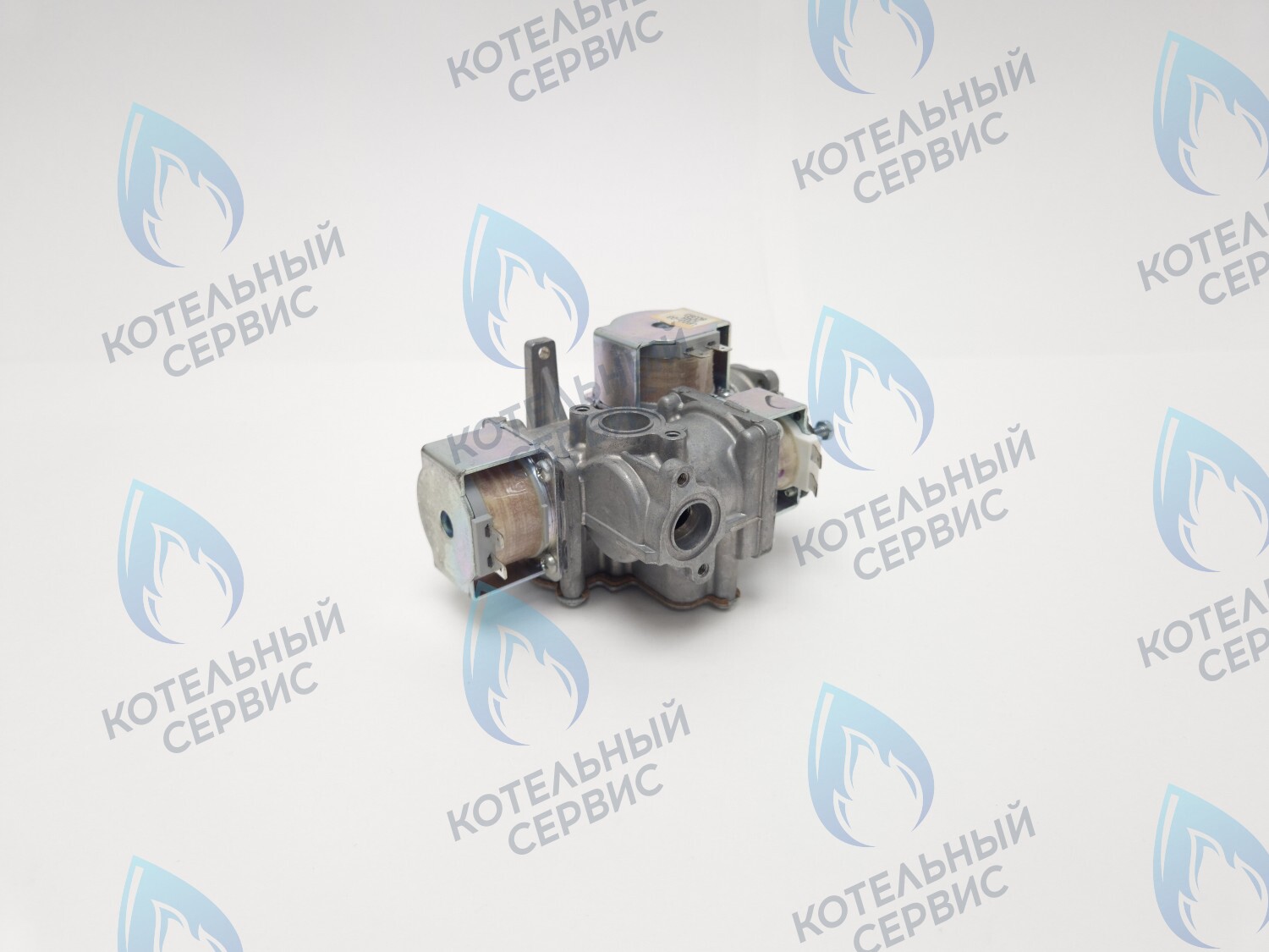 B200-02E-190 Клапан газовый 110V LOTTE E&M Coaxial 13-30K в Екатеринбурге	