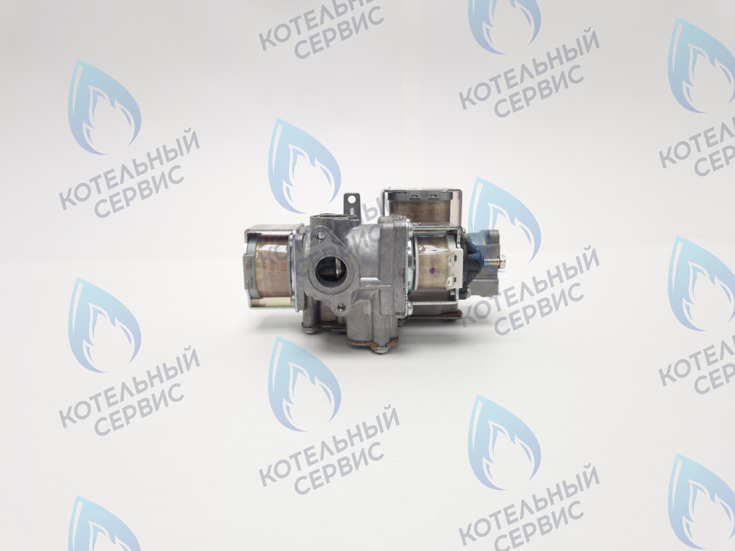 B200-02E-190 Клапан газовый 110V LOTTE E&M Coaxial 13-30K в Екатеринбурге	