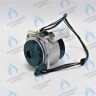 0020197549 Двигатель насоса Protherm Пантера (без улитки) 30 KOV / KTV (H-RU)(63/81W) (без улитки) (против часовой, втулка 40мм, колесо 68/21мм) в Екатеринбурге	