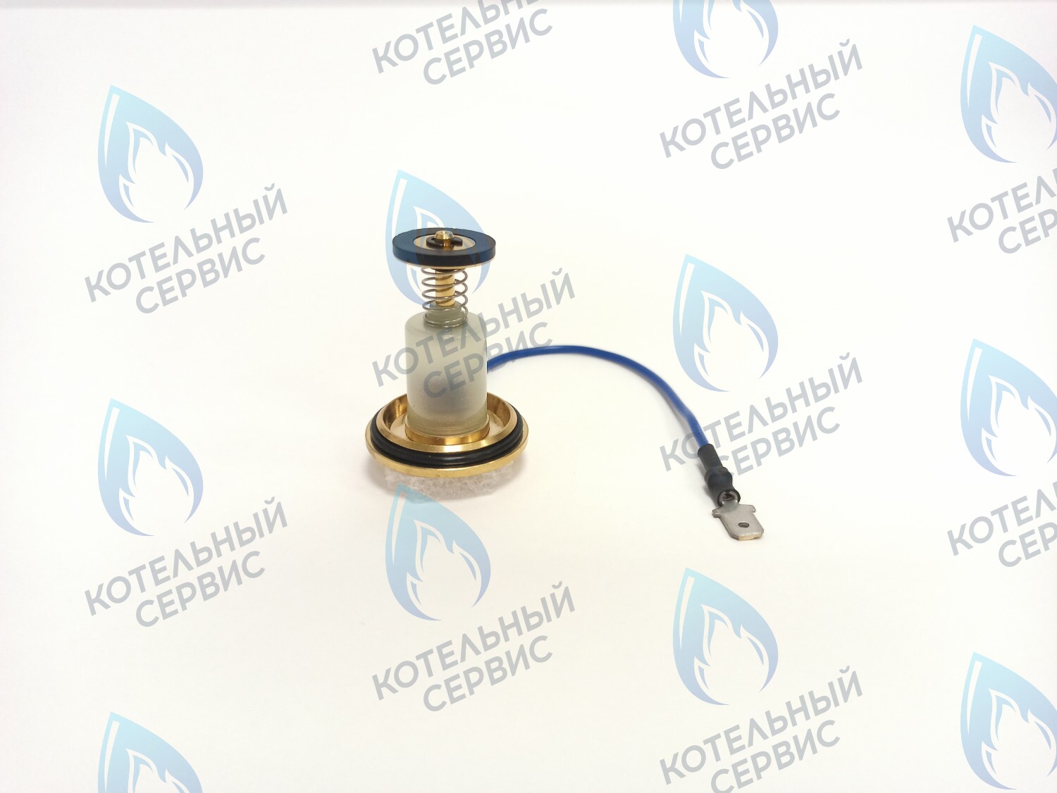 GVP002 Блок магнитный SIT 820, 824, 825 0.006.245 Protherm, Лемакс (Lemax) (022483) в Екатеринбурге	