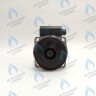 PH-W30CW70-WL132BX Двигатель насоса (без улитки) WILO RS 15/7 132w (30мм по часовой) FERROLI, FONDITAL, BAXI и др в Екатеринбурге	
