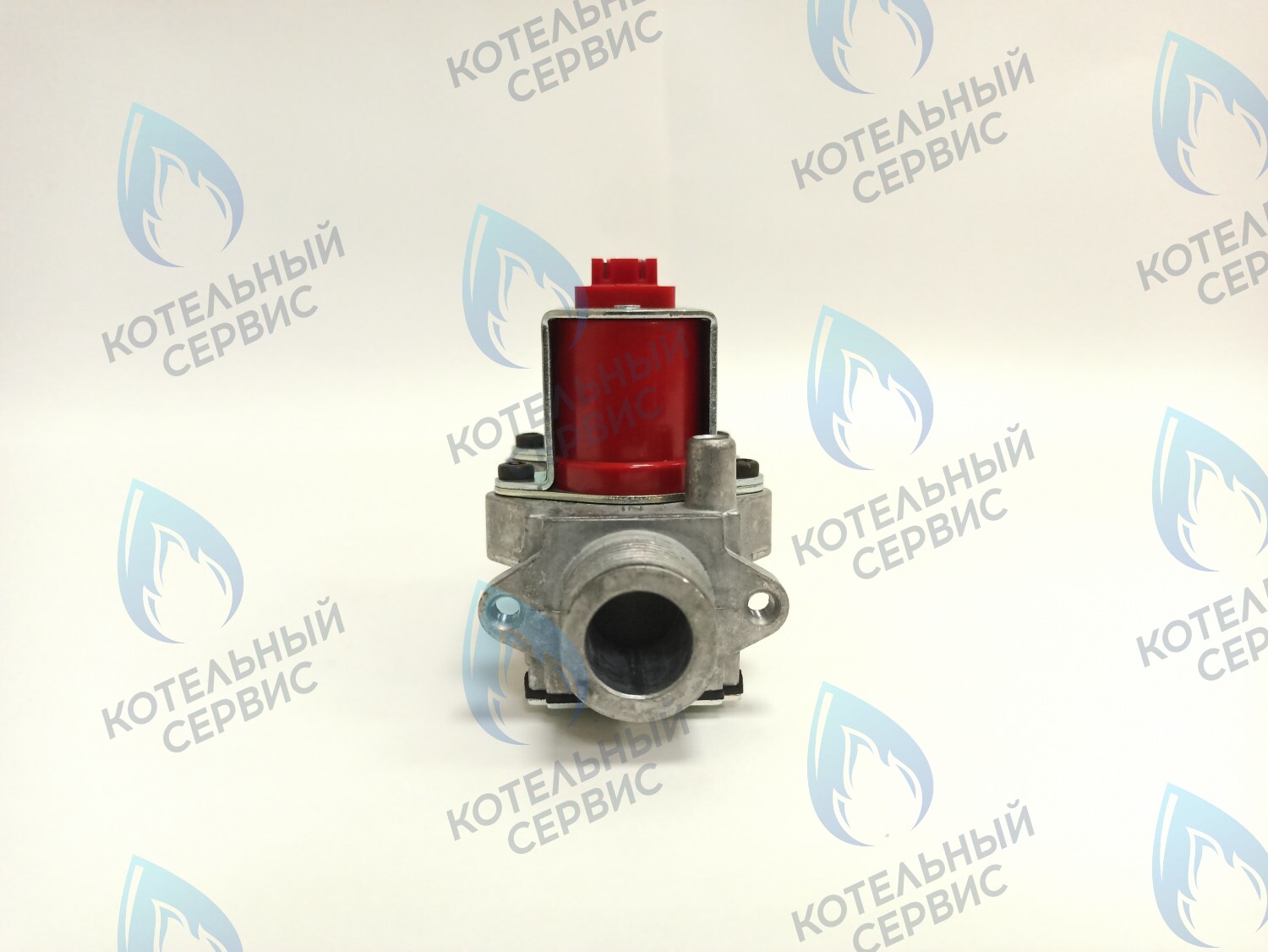 BI1373 100 Газовый клапан B&P (BI1373 100) BIASI в Екатеринбурге	