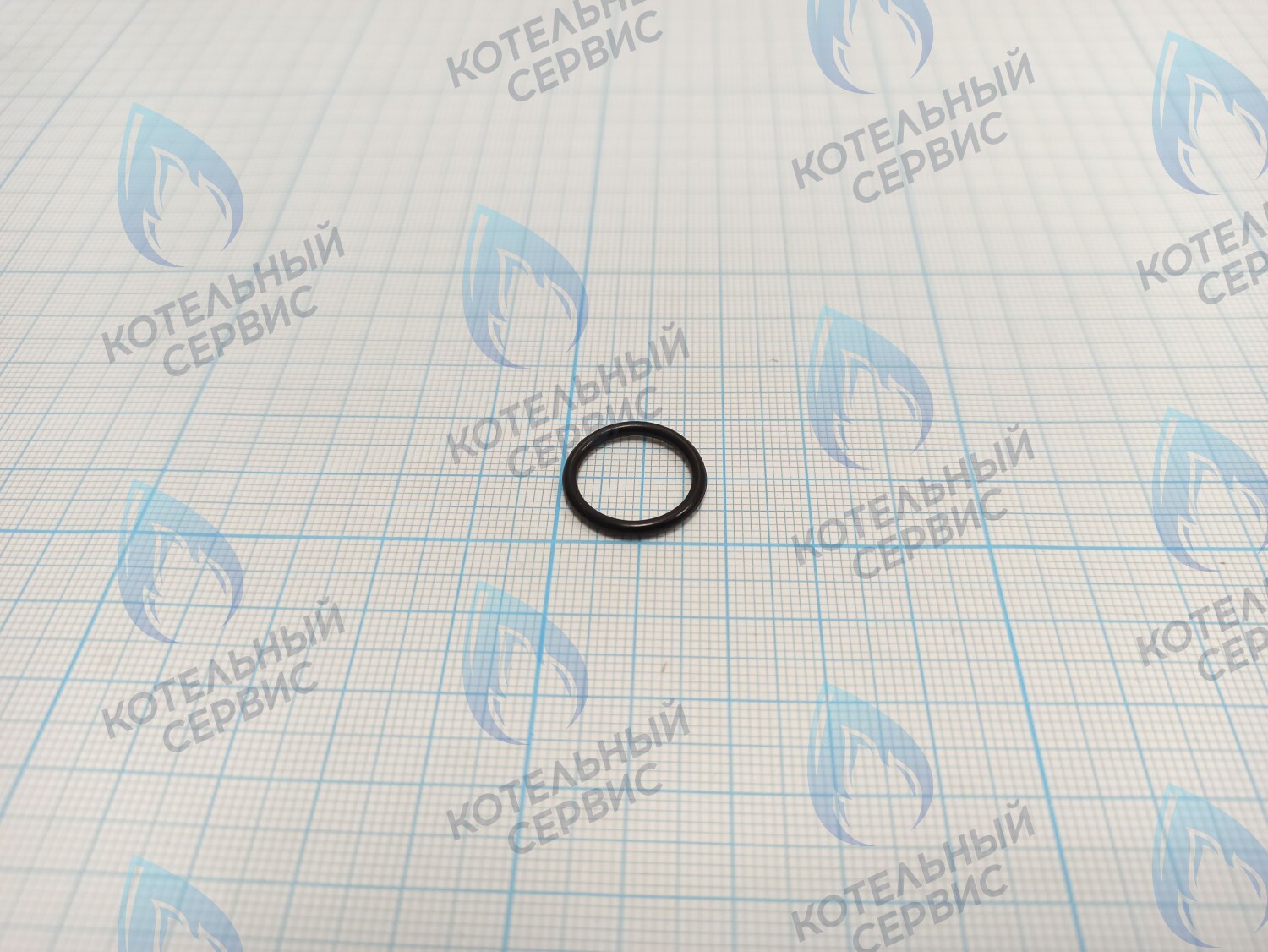 BI1001 129 Прокладка O-Ring 1,78x14,00 BIASI в Екатеринбурге	