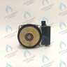PH-W21CCW60-GR110BB Двигатель насоса GRUNDFOS 15-60 для котла BOSCH 6000/2000 & BUDERUS U072 в Екатеринбурге	