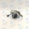 PH-W21CCW50-WA79PR-5PIN-Комп Двигатель насоса 1000L/H аналог WILO INTVACL 15/5-2 Protherm Гепард 23 MTV / MOV вер. 19, Пантера 25 KTV / KOV, 30 KTV вер. 19 (без улитки) (против часовой, втулка 35мм, колесо 68/21мм) (0020097216, 0020197548) в Екатеринбурге	