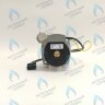 PH-W21CCW50-WA79PR-5PIN-Комп Двигатель насоса 1000L/H аналог WILO INTVACL 15/5-2 Protherm Гепард 23 MTV / MOV вер. 19, Пантера 25 KTV / KOV, 30 KTV вер. 19 (без улитки) (против часовой, втулка 35мм, колесо 68/21мм) (0020097216, 0020197548) в Екатеринбурге	