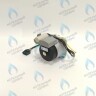 PH-W21CCW50-WA79PR-5PIN-Комп Двигатель насоса 1000L/H аналог WILO INTVACL 15/5-2 Protherm Гепард 23 MTV / MOV вер. 19, Пантера 25 KTV / KOV, 30 KTV вер. 19 (без улитки) (против часовой, втулка 35мм, колесо 68/21мм) (0020097216, 0020197548) в Екатеринбурге	