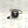 PH-W21CCW50-WA79PR-5PIN-Комп Двигатель насоса 1000L/H аналог WILO INTVACL 15/5-2 Protherm Гепард 23 MTV / MOV вер. 19, Пантера 25 KTV / KOV, 30 KTV вер. 19 (без улитки) (против часовой, втулка 35мм, колесо 68/21мм) (0020097216, 0020197548) в Екатеринбурге	