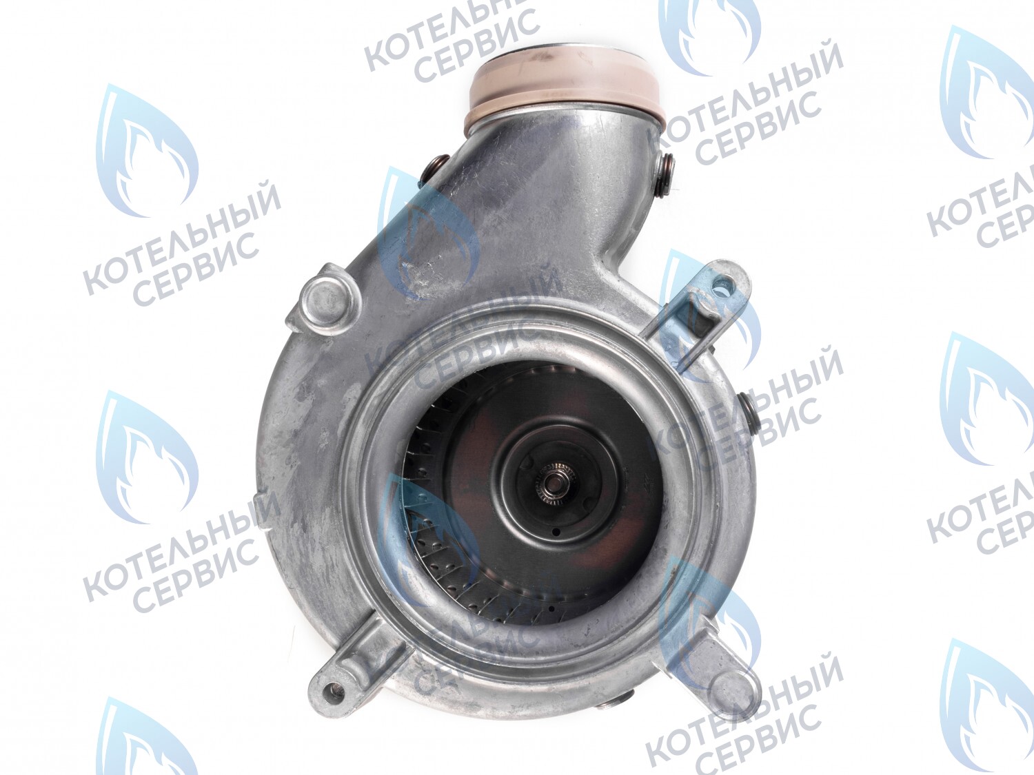 AF005-55W-F Вентилятор дымоудаления 55W Fime VGR0102786 Protherm Пантера v18, v19 (2000801920) в Екатеринбурге	