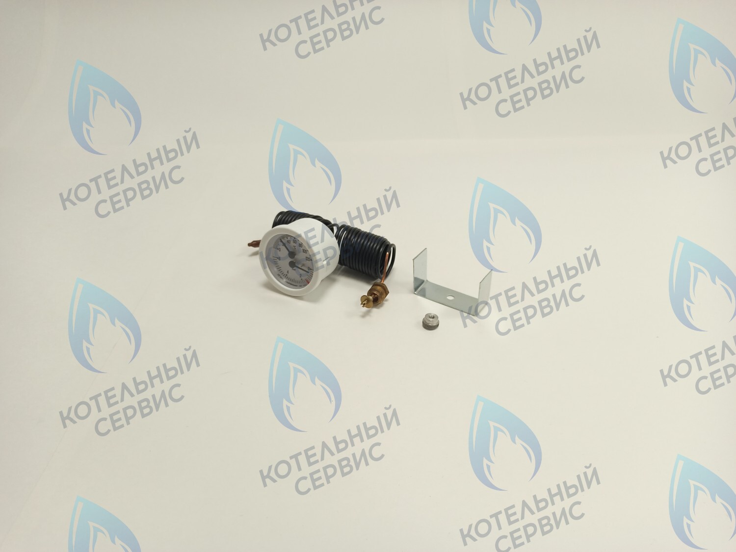 39806020 Термоманометр 0-6 bar 0-120C  (36400790) FERROLI PEGASUS F3 в Екатеринбурге	