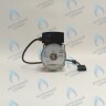 PH-W21CW60-WC83-5PIN-Комп Двигатель насоса аналог WILO VHSL15/6 HE-2 (по часовой стрелке) PROTHERM Лев, Пантера V.18 (0020078492), Скат K13, Дельфин (0020094635), Скат V14 (0010025841) VAILLANT atmo/turboTEC 20-28 КВТ (0020213167, 0020005803), eloBLOCK (0020107584) в Екатеринбурге	