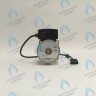 PH-W21CW60-WC83-5PIN-Комп Двигатель насоса аналог WILO VHSL15/6 HE-2 (по часовой стрелке) PROTHERM Лев, Пантера V.18 (0020078492), Скат K13, Дельфин (0020094635), Скат V14 (0010025841) VAILLANT atmo/turboTEC 20-28 КВТ (0020213167, 0020005803), eloBLOCK (0020107584) в Екатеринбурге	