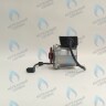 PH-W21CW60-WC83-5PIN-Комп Двигатель насоса аналог WILO VHSL15/6 HE-2 (по часовой стрелке) PROTHERM Лев, Пантера V.18 (0020078492), Скат K13, Дельфин (0020094635), Скат V14 (0010025841) VAILLANT atmo/turboTEC 20-28 КВТ (0020213167, 0020005803), eloBLOCK (0020107584) в Екатеринбурге	