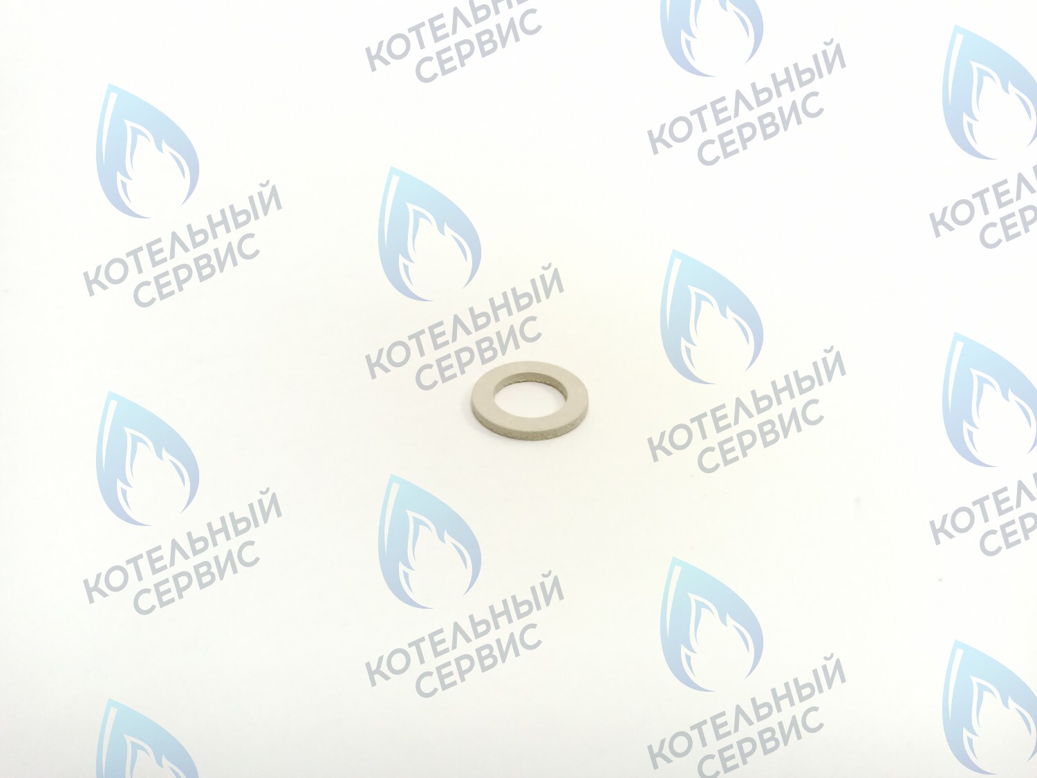 BI1001 109 Плоская прокладка 3/8" вн. D=9,1мм. (BI1001 109) ELECTROLUX в Екатеринбурге	