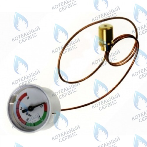 0020094636 Манометр PROTHERM в Екатеринбурге	