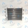 EM012-220 Основной (первичный) теплообменник BIASI (BI1302 100, BI1442 116) в Екатеринбурге	