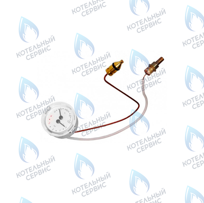 7825530 Манометр с капилляром 0-4 бар для Viessmann Vitopend 100 WH1B в Екатеринбурге	