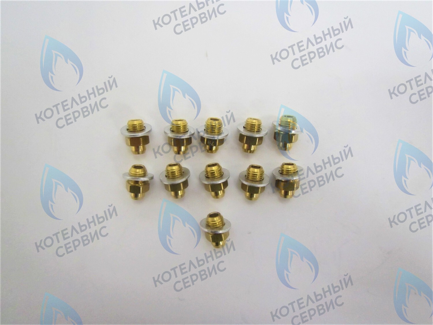 39819600 Комплект форсунок LPG на сжиженный газ D0,79 (11шт/комп)  (ITA398907242) FERROLI в Екатеринбурге	