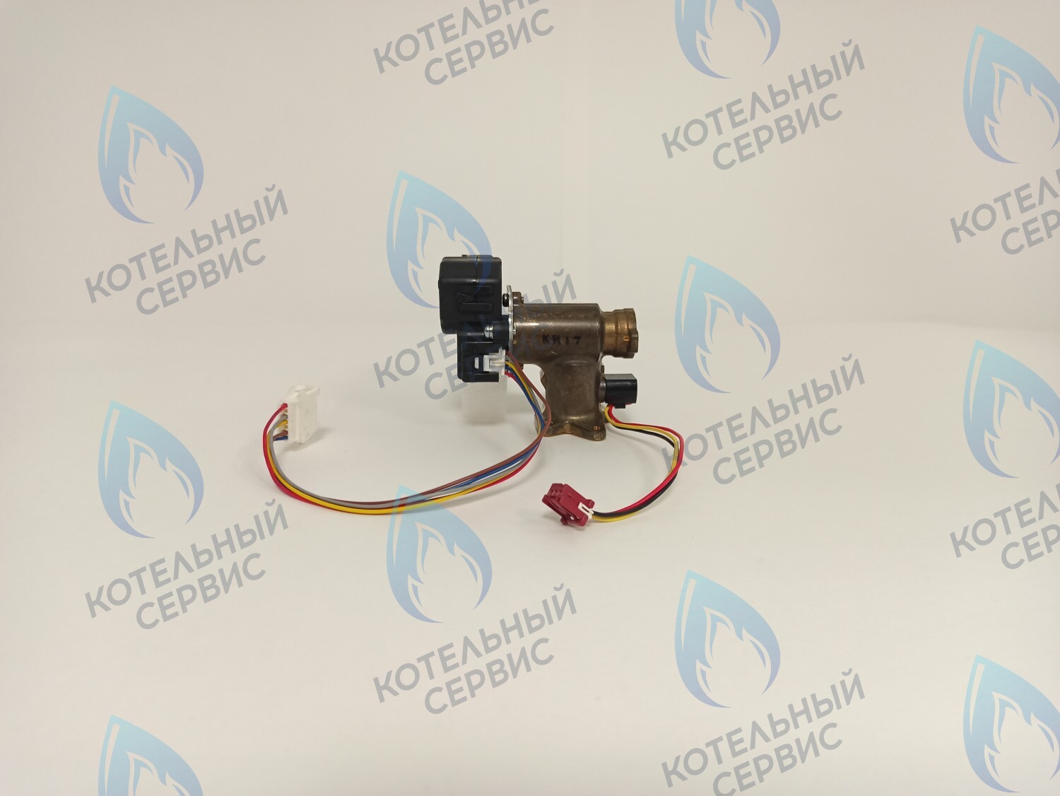 440001887 Датчик протока в сборе RINNAI BR-W24 в Екатеринбурге	