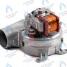 AF001-55W-A-F Вентилятор дымоудаления 55W (F) VGR0132861 Immergas MAIOR EOLO 28 4E, MINI EOLO 28 3E, ARISTON, ALPHATHERM (6VENTILA10), FERROLI (398907134), E.C.A (7006907134) в Екатеринбурге	