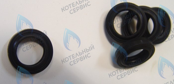 0020014166 Прокладка PROTHERM в Екатеринбурге	