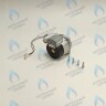 PH-W21CW50-DA84-2PIN Двигатель насоса DUCA APW 15-5.1A (1 скорости) аналог Wilo Ariston (60001584, 60000876, 60000876-01) в Екатеринбурге	