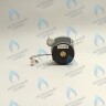 PH-W21CW50-DA84-2PIN Двигатель насоса DUCA APW 15-5.1A (1 скорости) аналог Wilo Ariston (60001584, 60000876, 60000876-01) в Екатеринбурге	