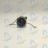 PH-W21CW50-DA84-2PIN Двигатель насоса DUCA APW 15-5.1A (1 скорости) аналог Wilo Ariston (60001584, 60000876, 60000876-01) в Екатеринбурге	