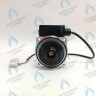 PH-W21CW67-DW83-5PIN Двигатель насоса DUCA VPW 6A (по часовой стрелке) PROTHERM Лев, Пантера V.18 (0020078492), Скат K13, Дельфин (0020094635), Скат V14 (0010025841) VAILLANT atmo/turboTEC 20-28 КВТ (0020213167, 0020005803), eloBLOCK (0020107584) (замена WILO VHSL15/6 HE-2) в Екатеринбурге	