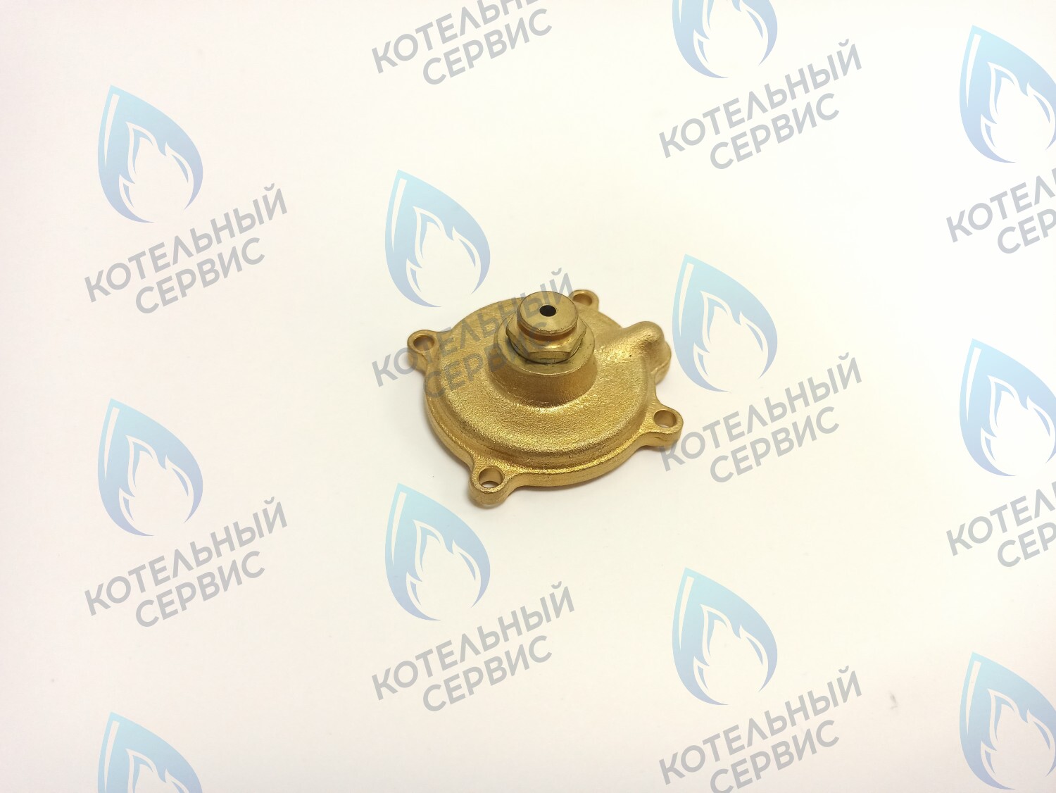 70102002 Крышка датчика давления в сборе ELECTROLUX в Екатеринбурге	