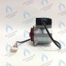 PH-W21CCW67-DW92PR-5PIN Двигатель насоса DUCA VPWR 6.7A (против часовой стрелки) PROTHERM Пантера H-RU (0020197549, 0020209790) (замена WILO INTVACL 15/6.7-2) ПАНТЕРА 35 KTV H-RU (0020186162) (замена VACL 15/7) в Екатеринбурге	
