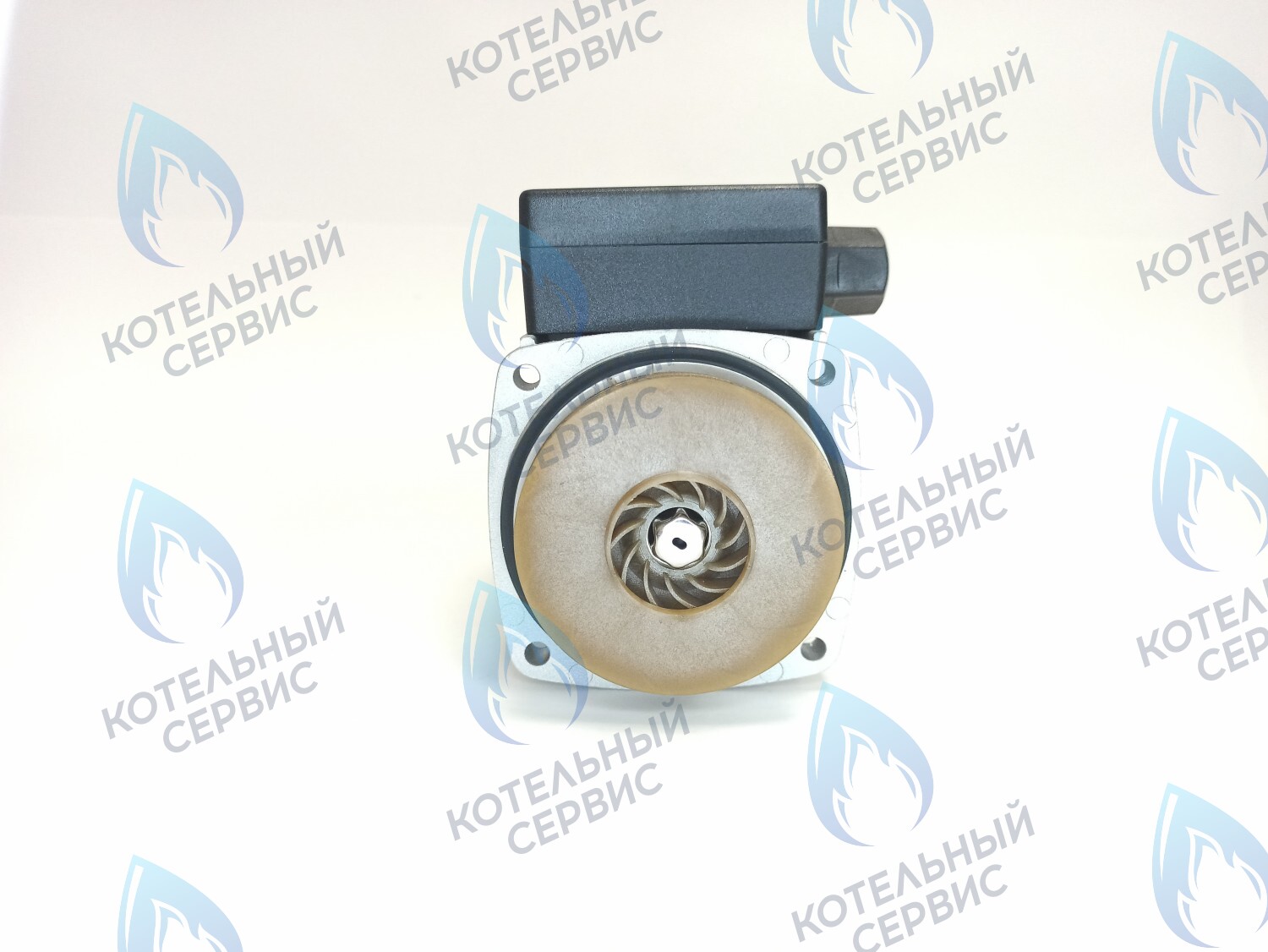 PH-G30CCW60-ER105 Двигатель насоса (против часовой) ERCO DWP15-60-A (без улитки) в Екатеринбурге	