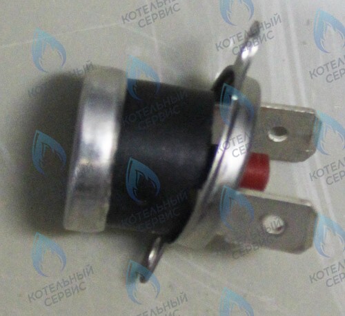 0020094666 Термостат 100°C PROTHERM в Екатеринбурге	